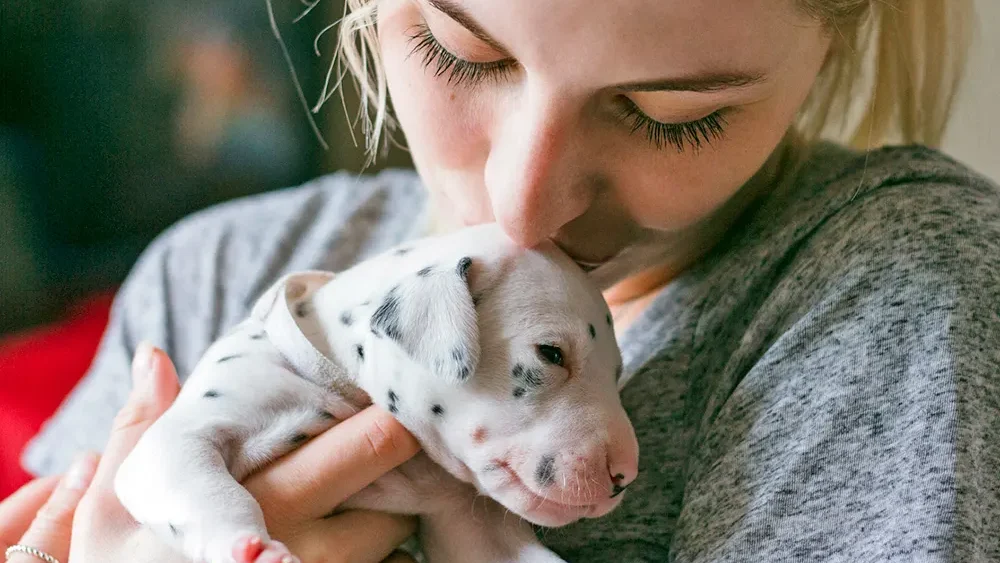 5 giai đoạn phát triển của chó con
